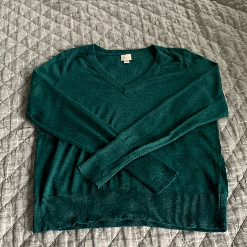 BNWOT green v-neck sweater